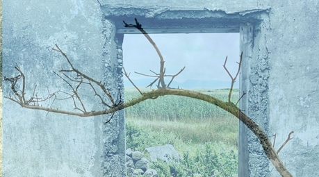 window2